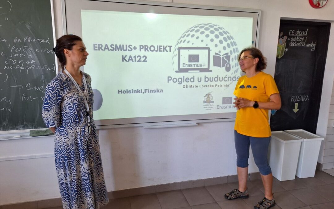 Disemenacija projekta