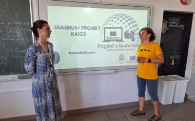 Disemenacija projekta